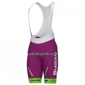 Bib Cykelshorts 2022 Bardiani-CSF Faizane Lilla Grøn